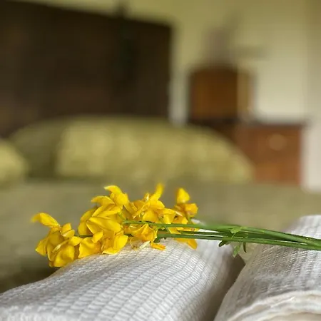 住宿加早餐酒店 Cascina Boschetto 3*