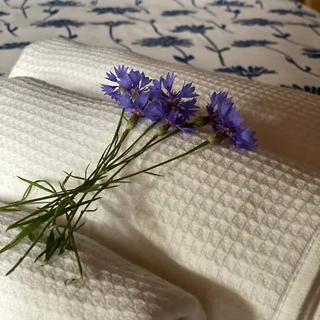 Cascina Boschetto 3* Saliceto