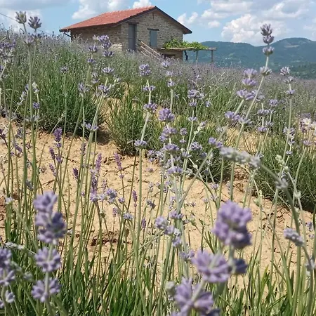 Bed & Breakfast Cascina Boschetto Saliceto