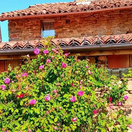 Cascina Boschetto Oda ve Kahvaltı