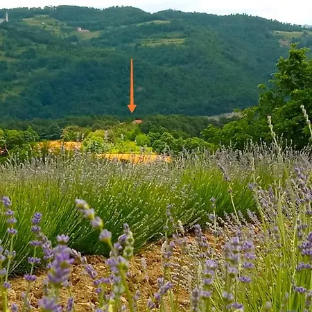 Cascina Boschetto * Saliceto