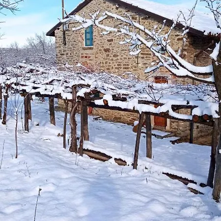 Oda ve Kahvaltı Cascina Boschetto Saliceto