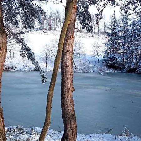 住宿加早餐酒店 Cascina Boschetto Saliceto