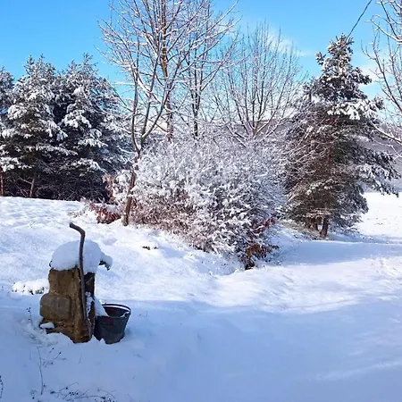住宿加早餐酒店 Cascina Boschetto