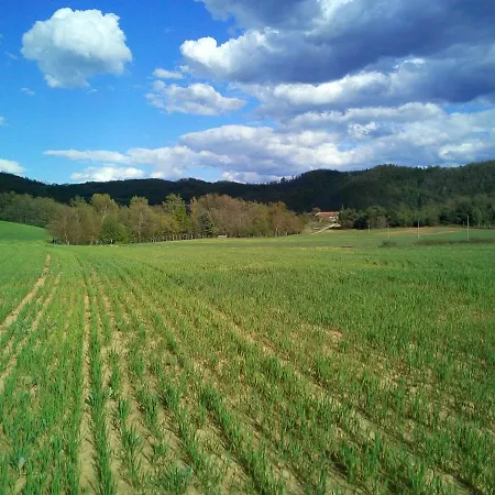 Oda ve Kahvaltı Cascina Boschetto 3*