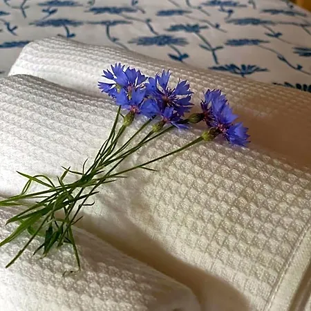 Cascina Boschetto Bed & Breakfast