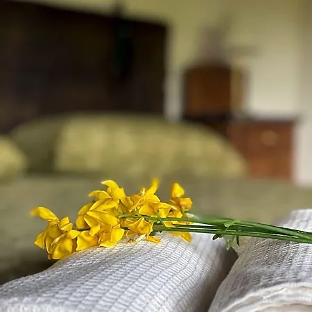 Cascina Boschetto Bed & Breakfast 3*