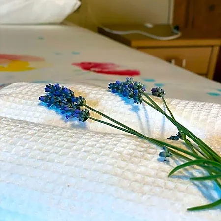 Bed & Breakfast Cascina Boschetto Saliceto