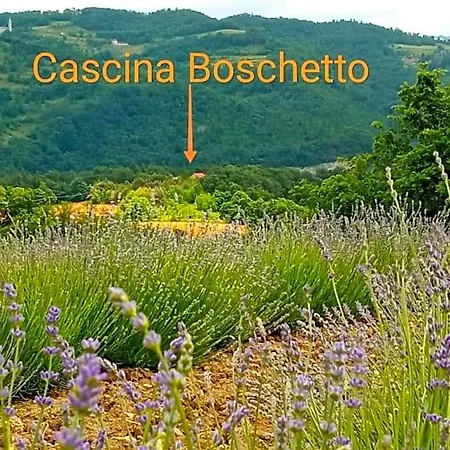 Bed & Breakfast Cascina Boschetto Saliceto