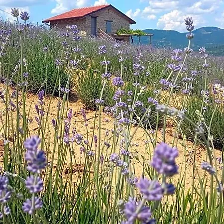 Cascina Boschetto Bed & Breakfast Saliceto