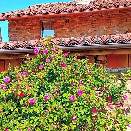 Cascina Boschetto Frühstückspension Saliceto