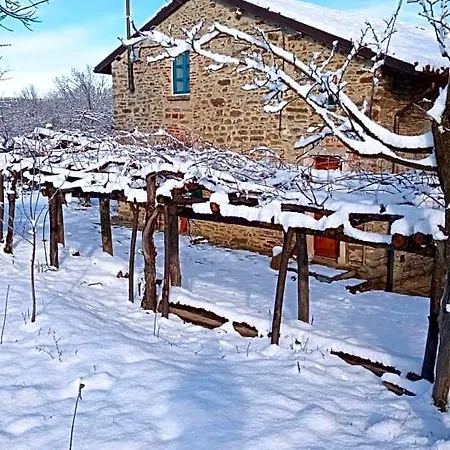 Cascina Boschetto Frühstückspension Saliceto