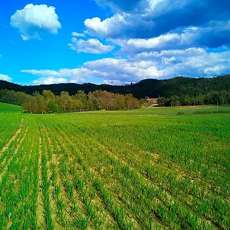 Bed & Breakfast Cascina Boschetto 3*