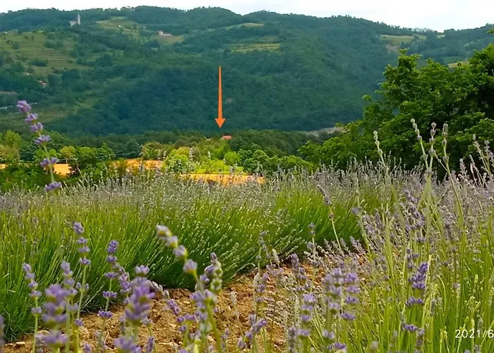 Cascina Boschetto 3* Saliceto